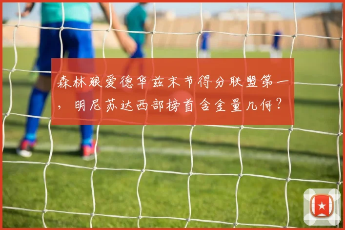森林狼爱德华兹末节得分联盟第一，明尼苏达西部榜首含金量几何？